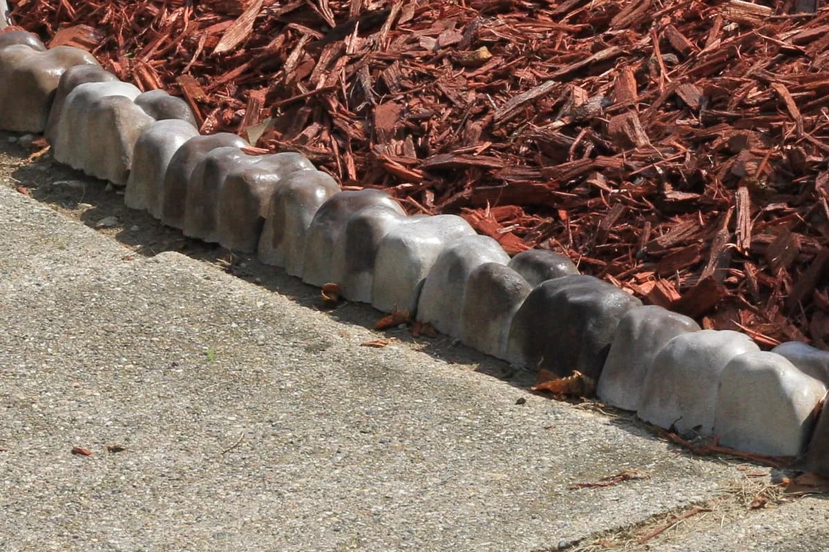 A scalloped stone border with fresh mulch banked behind it, along a concrete walk